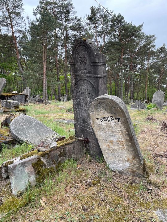 Kirkut - żydowski cmentarz Anielin - fot. Agnieszka Jaskulska (33).jpeg