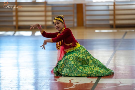 Międzynarodowy SuperFestiwal Kultur w Karczewie 2026